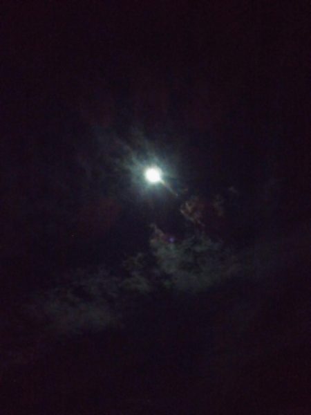 久しぶりのアジング