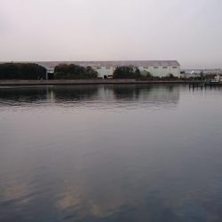 渋いながらも湾奥ならまだ釣れる