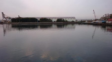 渋いながらも湾奥ならまだ釣れる