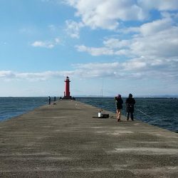 暴風の中で落ちギス狙い