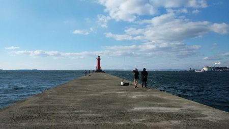 暴風の中で落ちギス狙い