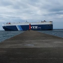 シーズン最終釣行で播磨新島へ