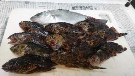 クリスマス釣りー