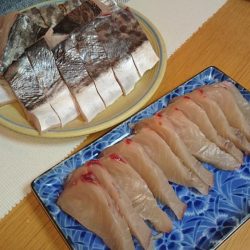 淡路島福良の戎丸でトロサワラゲット