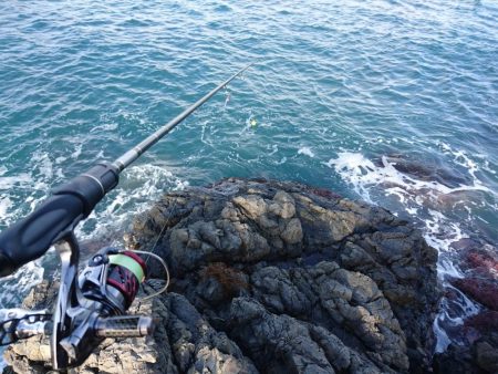 ナイトアジング