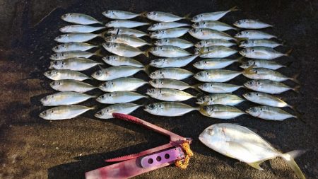 久しぶりのボートアジング