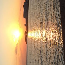 もうカレイは釣れないのかな？