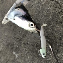 がっつり丸呑み！これがエサルアー！！