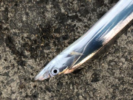 時合いはたったの15分!?価値ある4本