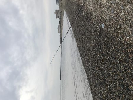 五目釣り達成？