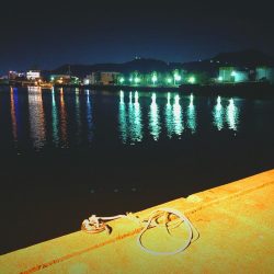 メバルくんを求めて…★