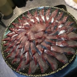 今年最後のノマセです