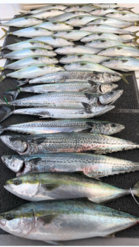 ビックファイターさんで竿納となりました