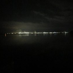 ナイターでメバル・カサゴ