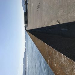 マリーナホップで