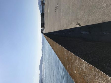 マリーナホップで