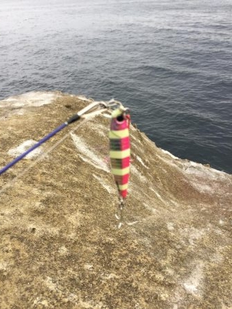 ショアジギング