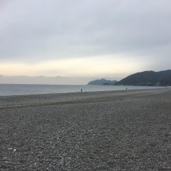 遠征帰りの太刀魚♫