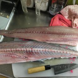 久しぶりの沖堤♫