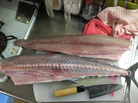 久しぶりの沖堤♫