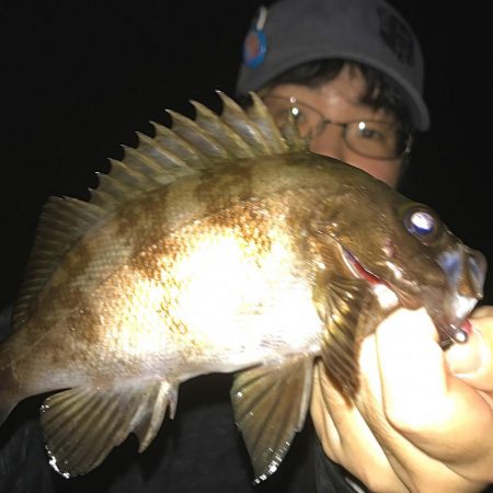 メバリング開幕!