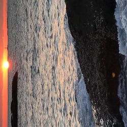 エギング最高！