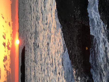 エギング最高！