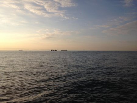 おひさ〜サゴワン