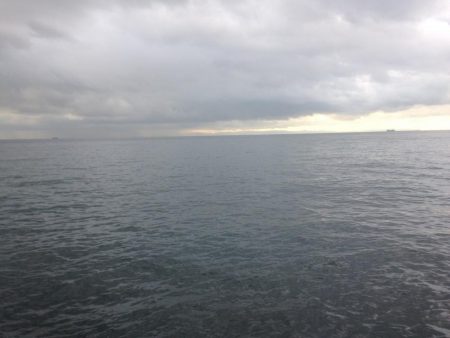 青物不発のタチワン