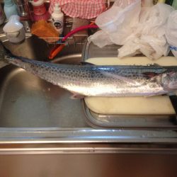 サワラゲットー