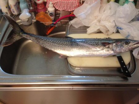 サワラゲットー