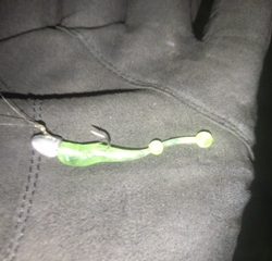 アジ浮いてます