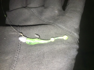 アジ浮いてます