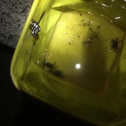 久しぶりの城南島