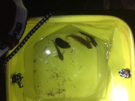 城南島行ってきました。