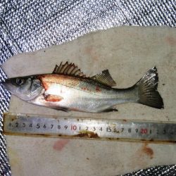 寒いけど釣れればポカポカ