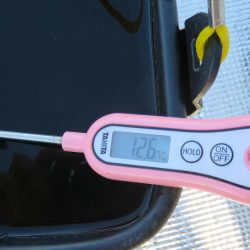 豊浜桟橋周辺はセイゴ支配？