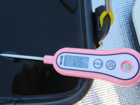 豊浜桟橋周辺はセイゴ支配？