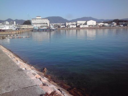 小アジ、カイズ、ガシラ等