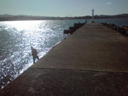 ヘダイ、グレ、小アジ等