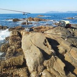 尾長祭りでした・・