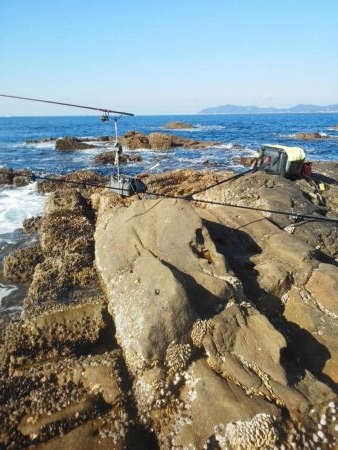尾長祭りでした・・