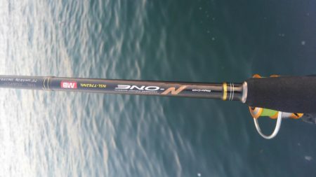 ガシリング(ガシラ×5)