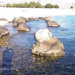 カサゴ沢山ゲット！