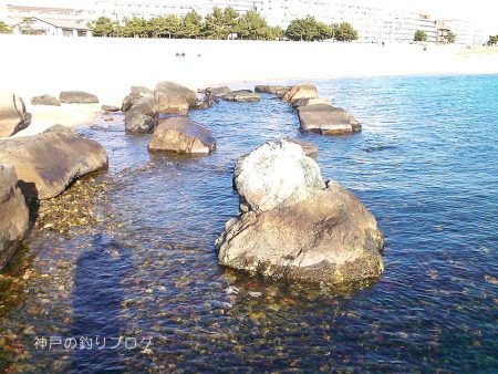 カサゴ沢山ゲット！