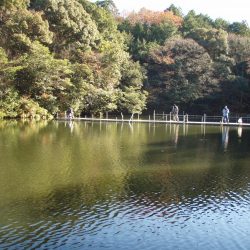 岡崎トラウトポンド釣果