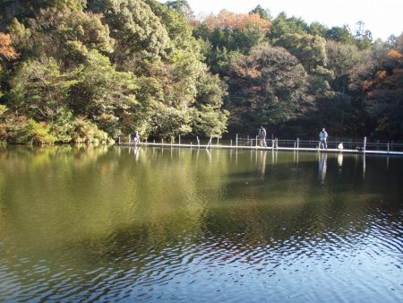 岡崎トラウトポンド釣果