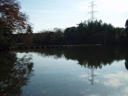 大安トラウトレイク 釣果