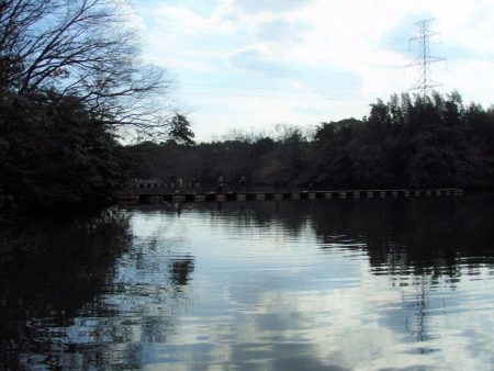 大安トラウトレイク 釣果