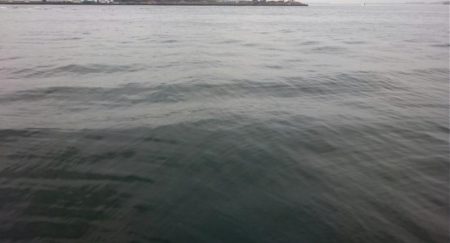 ⚫渋い中タチウオ３匹